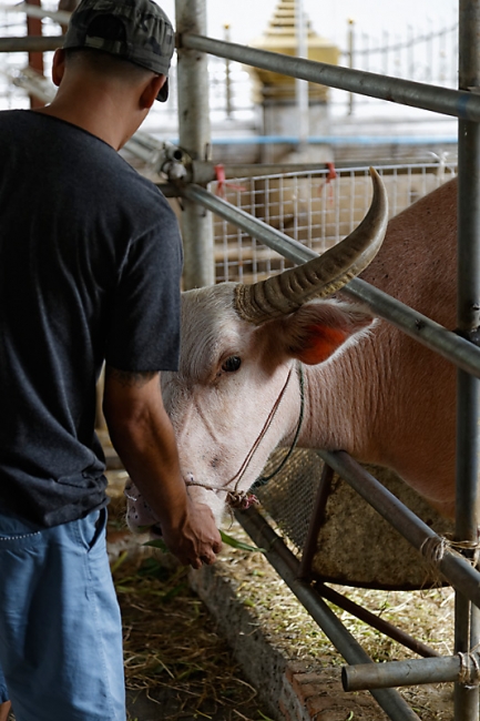 Wat Hua Lamphong-NOV13-017